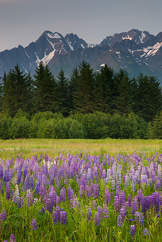 Backcountry